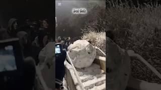 wait for end #short#viral#viralvideos