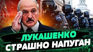 ЛУКАШЕНКО МСТИТ ВРАГАМ! РЕЙДЫ В БЕЛАРУСИ! ПОЧЕМУ ВЫПУСКАЮТ ЗАКЛЮЧЕННЫХ? — Вячорка