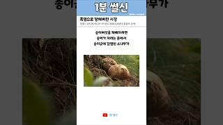 폭염으로 망해버린 시장