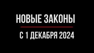 Как Изменится Жизнь с 1 декабря 2024 года. Обзор юриста | Юрхакер