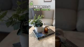 재물이 들어오는 집 '꼭' 있는 1가지 물건  #풍수인테리어 #풍수 #재물운상승