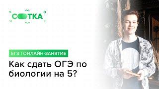 Как сдать ОГЭ по биологии на 5?! | ОГЭ БИОЛОГИЯ 2020 | Онлайн-школа СОТКА