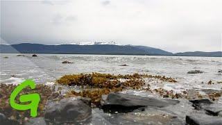 Serenity Segment: Juneau, Alaska