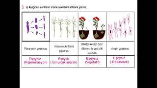 7. sınıf Fen Bilimleri 2. dönem 2.  yazılı örnek soru çözümleri video-4 #2.dönem2.yazılı #fen #sınav