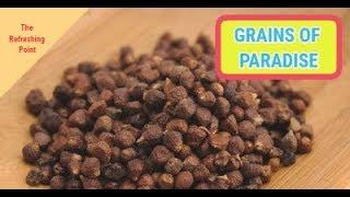 Grains of Paradise - Spice You’ve Never Heard Of - Enhance Testosterone Levels & Aid Weight Loss