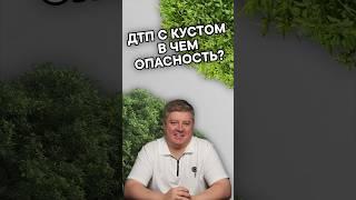 Лишение прав за ДТП с кустом! #александршумский #шумский