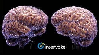 The Human Brain Medical Animation by Intervoke