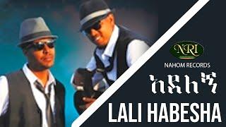 Lali Habesha - Adelegn - ላሊ ሐበሻ - አደለኝ - Ethiopian Music