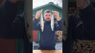 А как вы коптите скумбрию #рецепт #shorts