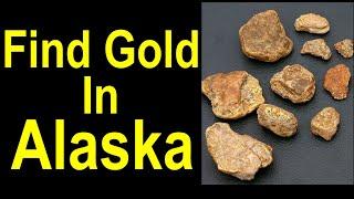 The Ultimate Guide to Alaska's Gold!