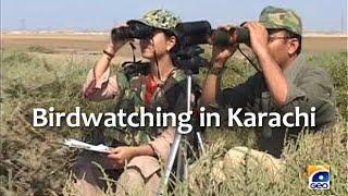 Birdwatching in Karachi