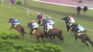 Victory Team beats answeringenenis 15Apr2017 race5 1000m at CDM 2017