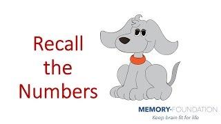 Is My Memory Normal? Try Recalling These Numbers! Improve my Memory Power.