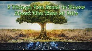 5 Things You Need to Know About The Tree of Life