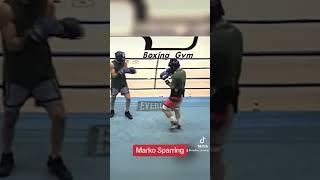 Marko sparring in NYC