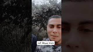 دندنه بعد المحاضره ، عبدالله ناجي محمود ، محمد الرويني #short