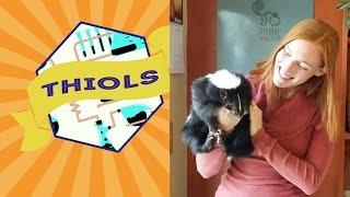 May 12th, 2017 - Stinky Skunk Thiols! with Jessi Knudsen Castañeda - Compound Week