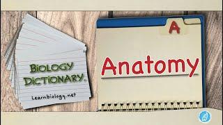 Anatomy  | Biology Dictionary | Spoken Biology Definitions