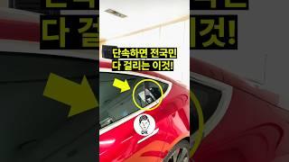 단속하면 전국민 다 걸리는 이것! 