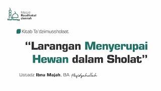 Kajian : Kitab Keagungan Sholat | Larangan Menyerupai Hewan dalam Sholat | Ustadz Ibnu Majah, BA