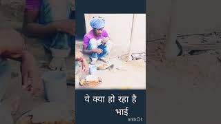 joker jokes funny video funny shorts funny animals video funny video 2023 #india #funny #joke