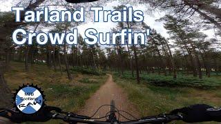 Tarland Trails Pittenderich (TT2) - Crowd Surfin'