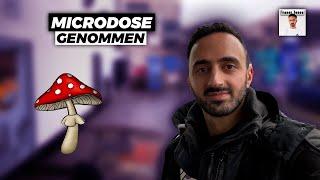 Ein Tag auf Fliegenpilzen mit Iraner Jones | Fliegenpilz Microdosing