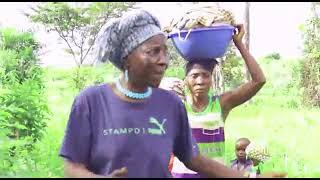 Farm Work (Kpaa Yeige)_ Amie Kallon and Group