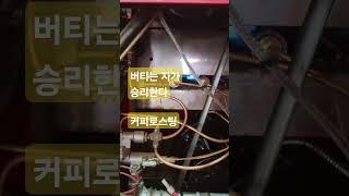 #커피 #로스팅