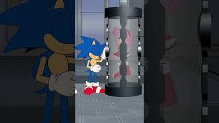 Sonic, We Have Amy Rose At Home