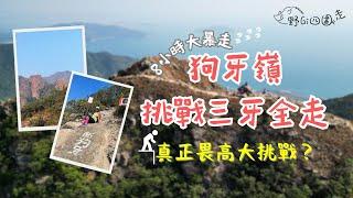 2024第一挑戰狗牙嶺三牙全走 | 行山界考牌路線丨香港行山丨西狗牙丨一線生機 | 東狗牙丨中狗牙丨閻王壁丨體能與意志挑戰 | 畏高者的挑戰 |