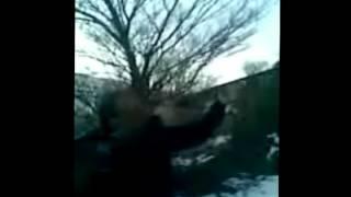 Mondigahda ovda.avi