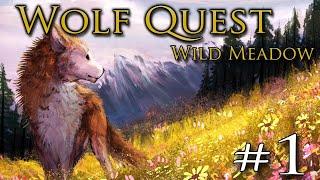 A Wild MEADOW of the Wolves!!  WOLF QUEST: WILD MEADOW • #1