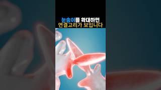 눈이 붙는 방식, 알고 보니 용접이랑 똑같습니다!