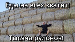 ⭕ #SERVEROK /// Тысяча рулонов соломы 