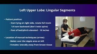 Postural Drainage   Left Upper Lobe   Lingular Segments