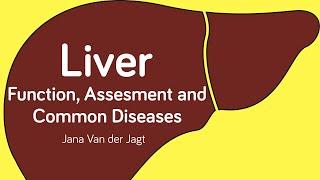 Liver Function, Assessment and Common Diseases - Jana Van der Jagt | Ausmed Course