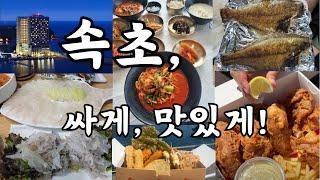 속초라마다호텔, 대포항 회 싸게먹기! #속초 #속초맛집