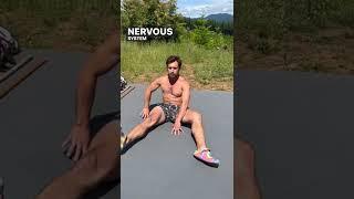 Connective Tissue Load Bearing Training with Matt Penny – mvmtbymatt