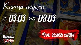 Карта недели с: 03.03 по 09.03.2025 г