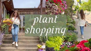 plant shopping & making crystal terrariums  a sunny, feel-good vlog