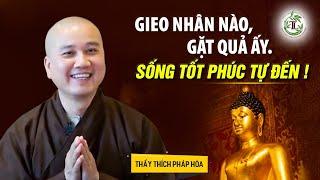 Gieo nhân nào gặt quả ấy, sống tốt Phước tự đến - Thầy Thích Pháp Hòa