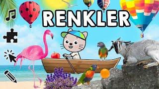 Renkler Şarkısı, Etkinlikler, Renklerin Karışımı