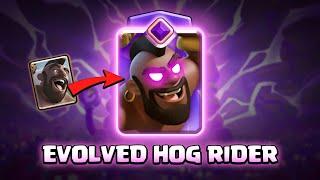 EVOLVED HOG RIDER | Clash Royale