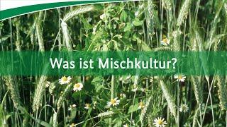 Was ist Mischkultur?