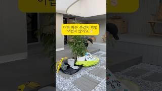대형 화분 분갈이    #단독주택 #마당 #분갈이