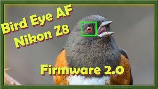 Bird Eye AF- Nikon Z8 Firmware 2.0 - Part 1