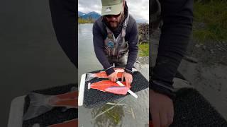 We learn how to fillet a silver salmon with @kenairivercowboys 