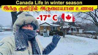 கடும் குளிர் கனடாவில்  அருமையான உணவு Shawarma food Canada tamil vlog