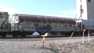 NS EBD manifest on the Chicago Line in Williams County, OH